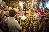 Архипастырский визит в Рошаль