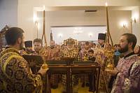 Архипастырский визит в Рошаль