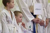 Фестиваль айкидо в Ногинске