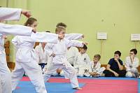 Фестиваль айкидо в Ногинске