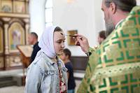 Празднование 600-летия обретения мощей преподобного Сергия Радонежского в Богородском благочинии