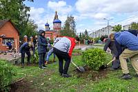 Посадка зелёных насаждений в Орехово-Зуеве
