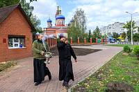 Посадка зелёных насаждений в Орехово-Зуеве