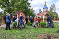 Посадка зелёных насаждений в Орехово-Зуеве