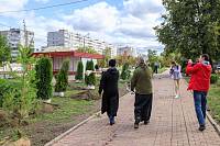 Посадка зелёных насаждений в Орехово-Зуеве