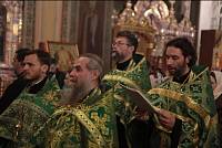 Пребывание ковчега с мощами преподобного Сергия Радонежского в Балашихинской епархии