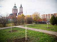 Патриотическая акция по посадке молодых деревьев на Аллее памяти г. Щёлково