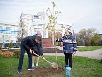 Патриотическая акция по посадке молодых деревьев на Аллее памяти г. Щёлково
