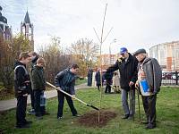 Патриотическая акция по посадке молодых деревьев на Аллее памяти г. Щёлково