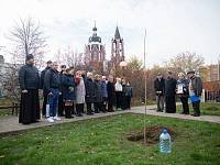 Патриотическая акция по посадке молодых деревьев на Аллее памяти г. Щёлково