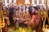 Престольный праздник в Димитрие-Солунском храме села Дмитровский Погост 