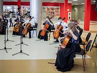 II Епархиальный день православной молодёжи в Балашихе