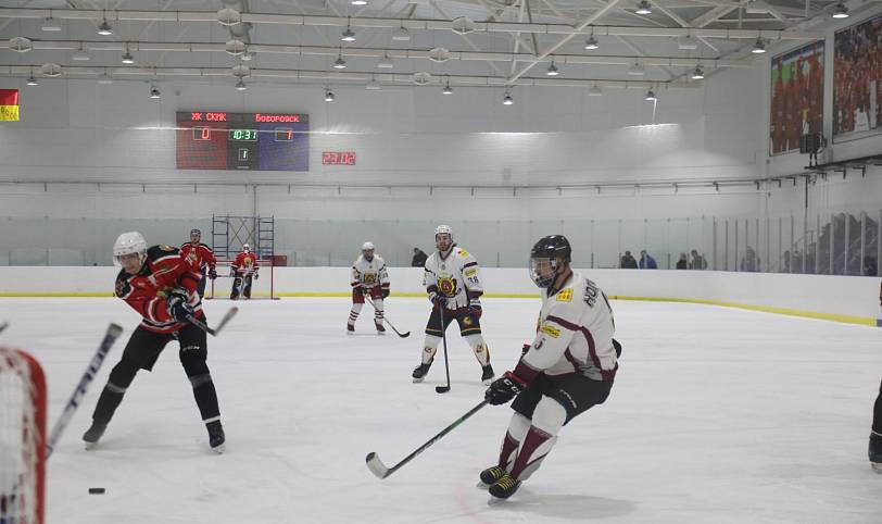 Хоккейный матч в честь Дня защитника Отечества в Ногинске