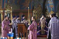 Встреча духовенства Балашихинской епархии и работников образования Восточного Подмосковья 