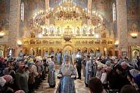 Визит митрополита Крутицкого и Коломенского Павла в Балашихинскую епархию