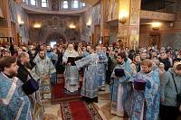 Визит митрополита Крутицкого и Коломенского Павла в Балашихинскую епархию