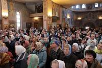 Визит митрополита Крутицкого и Коломенского Павла в Балашихинскую епархию