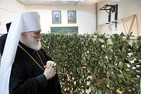 Визит митрополита Крутицкого и Коломенского Павла в Балашихинскую епархию