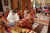 Архиерейское богослужение в Никольском храме села Новый Милет 