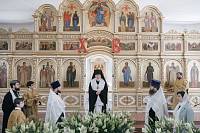 Вручение свидетельств о прохождении курсов по оказанию помощи пациентам в военных госпиталях