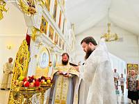 День города Электрогорска