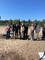 Молебен о сохранении творения Божия в Орехово-Зуевских конноспортивных клубах