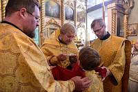 Архиерейский визит во Владимирский храм деревни Маврино 