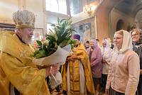 Архиерейский визит во Владимирский храм деревни Маврино 