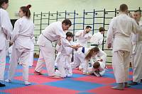 Фестиваль-смотр восточных единоборств в Богородском благочинии