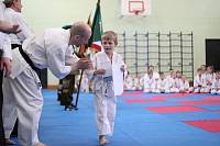 Фестиваль-смотр восточных единоборств в Богородском благочинии