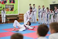 Фестиваль-смотр восточных единоборств в Богородском благочинии