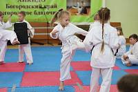 Фестиваль-смотр восточных единоборств в Богородском благочинии
