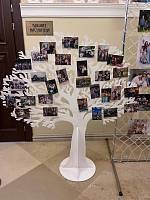 Форум многодетных семей Московской области