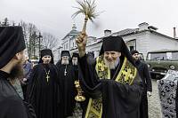 Великопостное посещение Николо-Берлюковской пустыни 