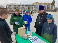 Акция «Берегите птиц» в Ликино-Дулёве