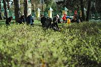 Субботник в Лосино-Петровском