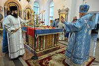 Архиерейское богослужение в Николо-Берлюковской пустыни