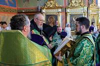 День Семьи, любви и верности в Ногинске