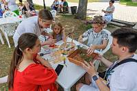 VII Московский областной форум «Многодетная Россия» в Зарайске