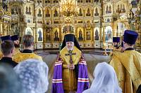 «Семейная гостиная» в Орехово-Зуеве