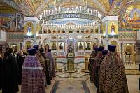 Собрание ответственных по вопросам семьи, защиты материнства и детства в епархиях Московской митрополии