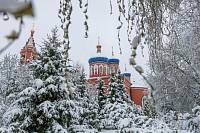 Архиерейское богослужение в Богородицерождественском соборе Орехово-Зуева