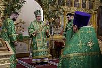 Архиерейское богослужение в Александро-Невском храме Балашихи