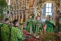 Престольный праздник в Троицком соборе Щёлкова