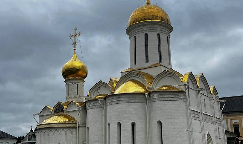 Организационное совещание по подготовке к форуму «Многодетная Россия»