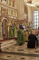 День многодетной семьи в Химках