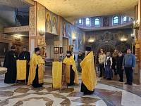 Семейная гостиная в Реутове