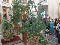 Праздник Святой Троицы в Преображенском кафедральном соборе Балашихи