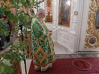 Праздник Святой Троицы в Преображенском кафедральном соборе Балашихи