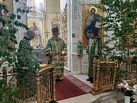 Праздник Святой Троицы в Преображенском кафедральном соборе Балашихи
